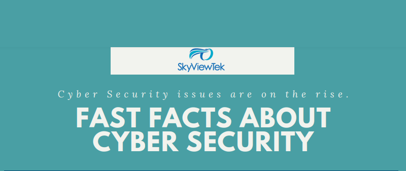 SkyViewTek Infographic | Reasons Why Businesses are at Risk | Cyber Security Companies