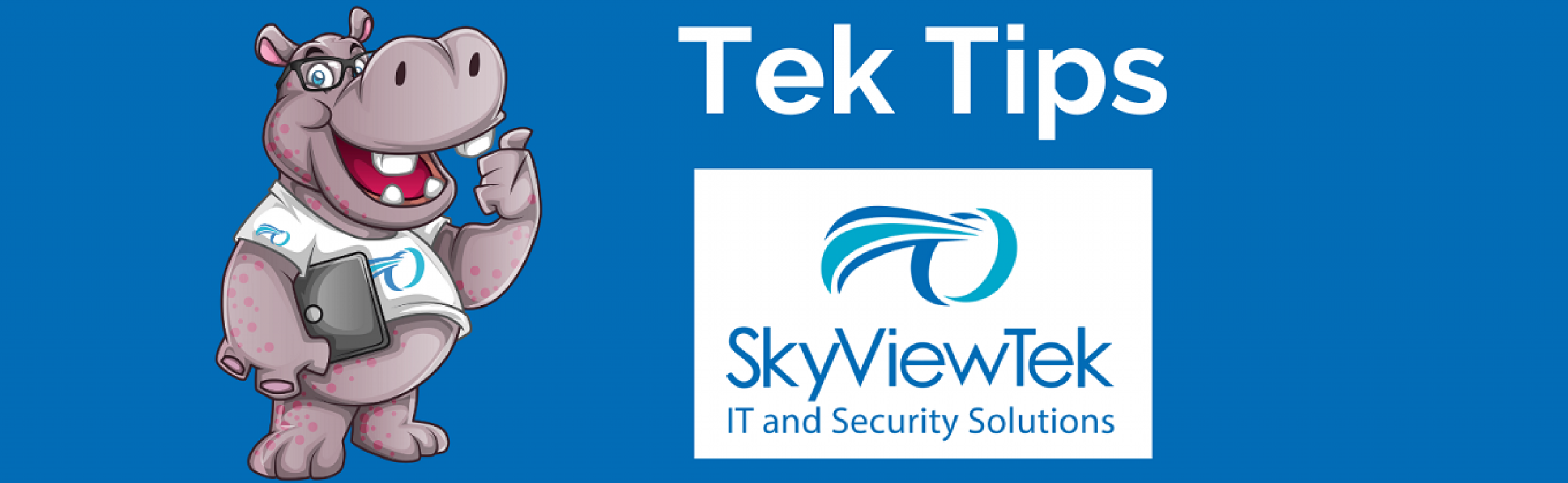 Happy Hippo with Tek Tips banner - SkyViewTek
