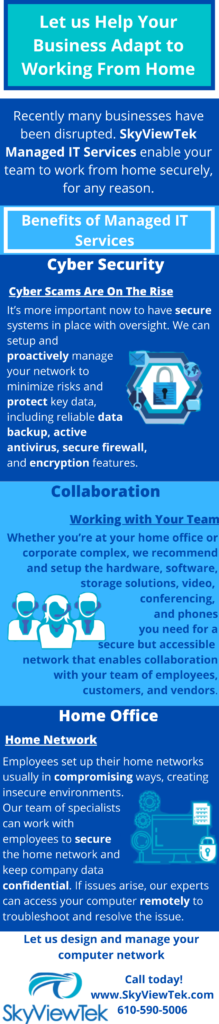 Infographic about the Benefits of SkyViewTek Managed IT Services